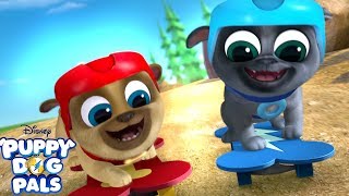 Feels Like We're Flying | Music Video | Puppy Dog Pals | Disney Junior