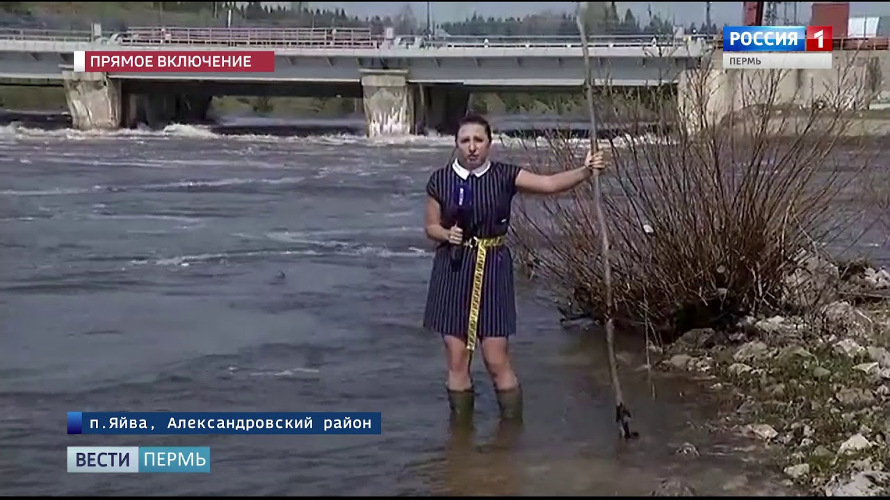 Погода яйва пермский на неделю