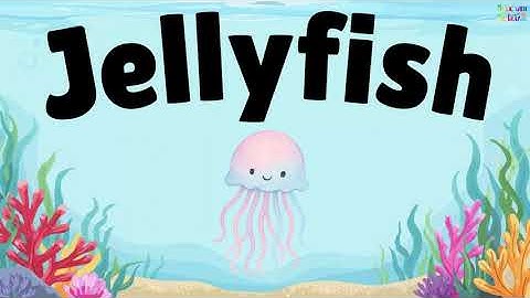 Jellyfish | Songs for children | EYFS