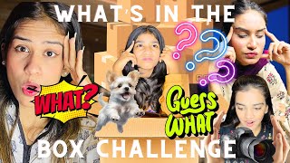 WHAT'S IN THE BOX CHALLENGE || BY SHAKINA MARYLIN VLOGS