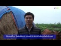 Hướng dẫn kỹ thuật bảo vệ gia súc gia cầm tkhi thời tiết chuyển lạnh đột ngột