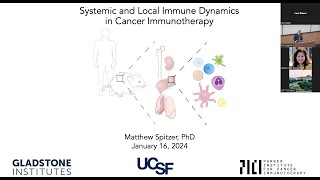 Systemic and Local Immune Dynamics in Cancer Immunotherapy