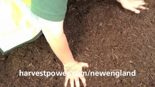Mulch - Ultra Brown