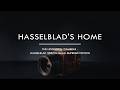 Hasselblad 503CW Gold Supreme Red Gold Edition|時代を締めくくる、黄金のジェスチャー