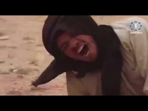 شيلة امير الاسلم من شمر الامير ضاري بن برغش بن طواله كلمات الشاعر منيف الجري اداء عثمان الجبلي