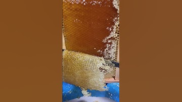 Uncapping Honey Frame