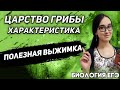 ЕГЭ Биология 2020 | Царство грибов | Характеристика царства | Строение клетки