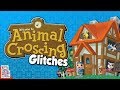 Escaping The Village - Glitches in Animal Crossing (GC) - DPadGamer
