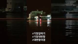 #기장대변항 #기장갈매기 #대변항야경 #행복한추억