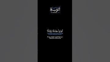 سورة التوبة الآية 41 الشيخ اللحيدان #quran #guidance #قرآن #لايك #اكسبلور #راحة_نفسية #حالات_واتس