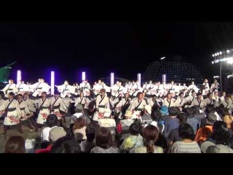 神戸学生よさこいチーム 湊  ~ 神戸よさこいまつり ~