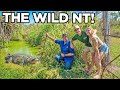 Australias wildest holiday  exploring the tiwi islands