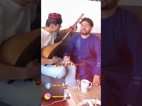 آهنگ زیبا و شنیدنی از سید جعفر هنر دوست صدا میایه صدای ناله میایه New Afghani Song