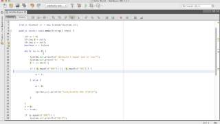 Java Tutorials: Boolean Variables, String Variables, and User Input