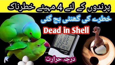 How to control humidity temperature in birds room|Low humidity level control in birds setup