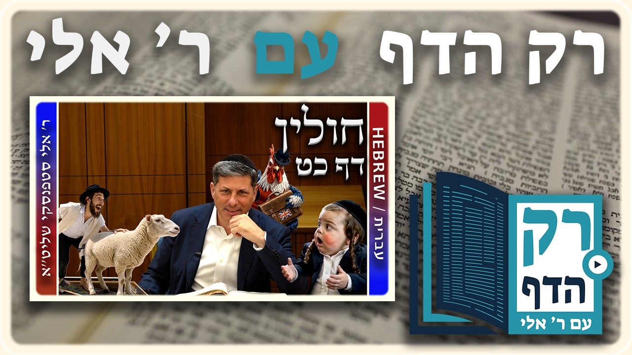 חזרה - חולין דף כט | "רק הדף" עם ר' אלי סטפנסקי
