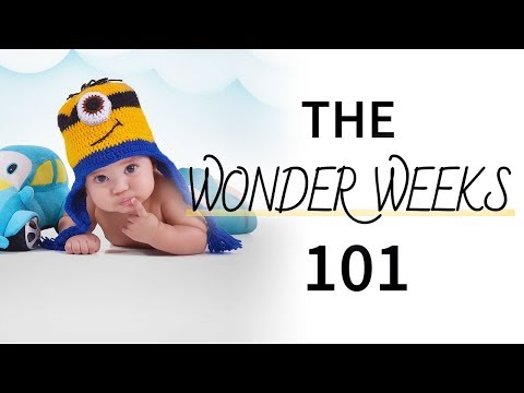 Everything You Need to Know About the Wonder Weeks