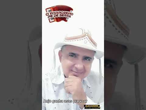 Anjo ganha asas