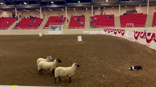 Calgary Aggie days #calgary #alberta #canada #Aggiedays