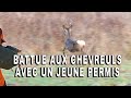 Battue aux chevreuils en Hauts de France (4K)