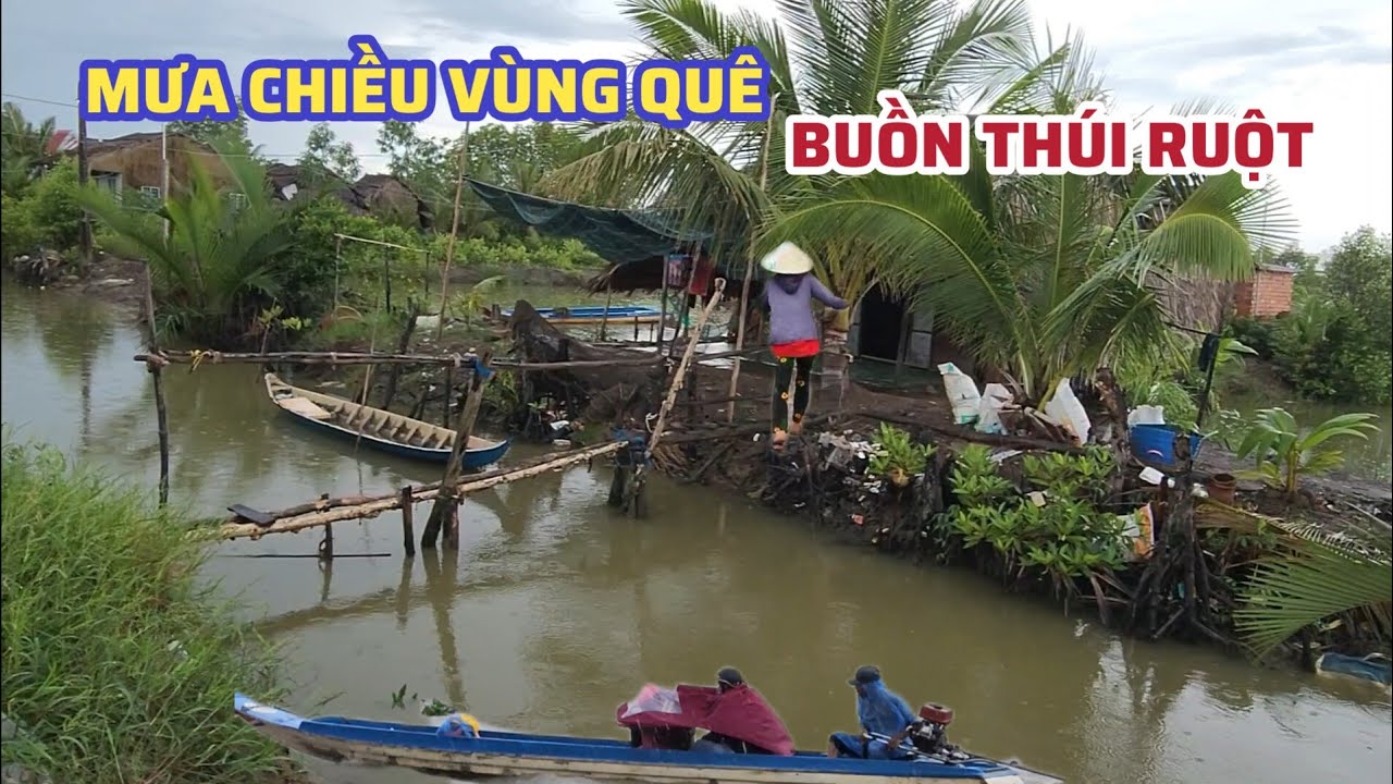 Mưa Chiều Vùng Quê Nhìn Buồn Thúi Ruột, Đường Làng Ướt Hết Bóng Người Không Thấy Đâu 2026