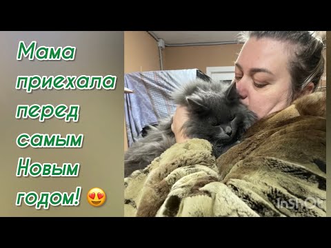 Мама приехала перед самым Новым годом! 😍 Приют для животных