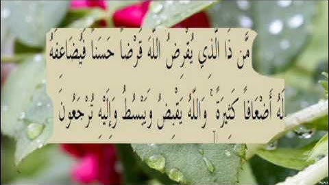 القران الكريم سورة البقرة الاية  245
