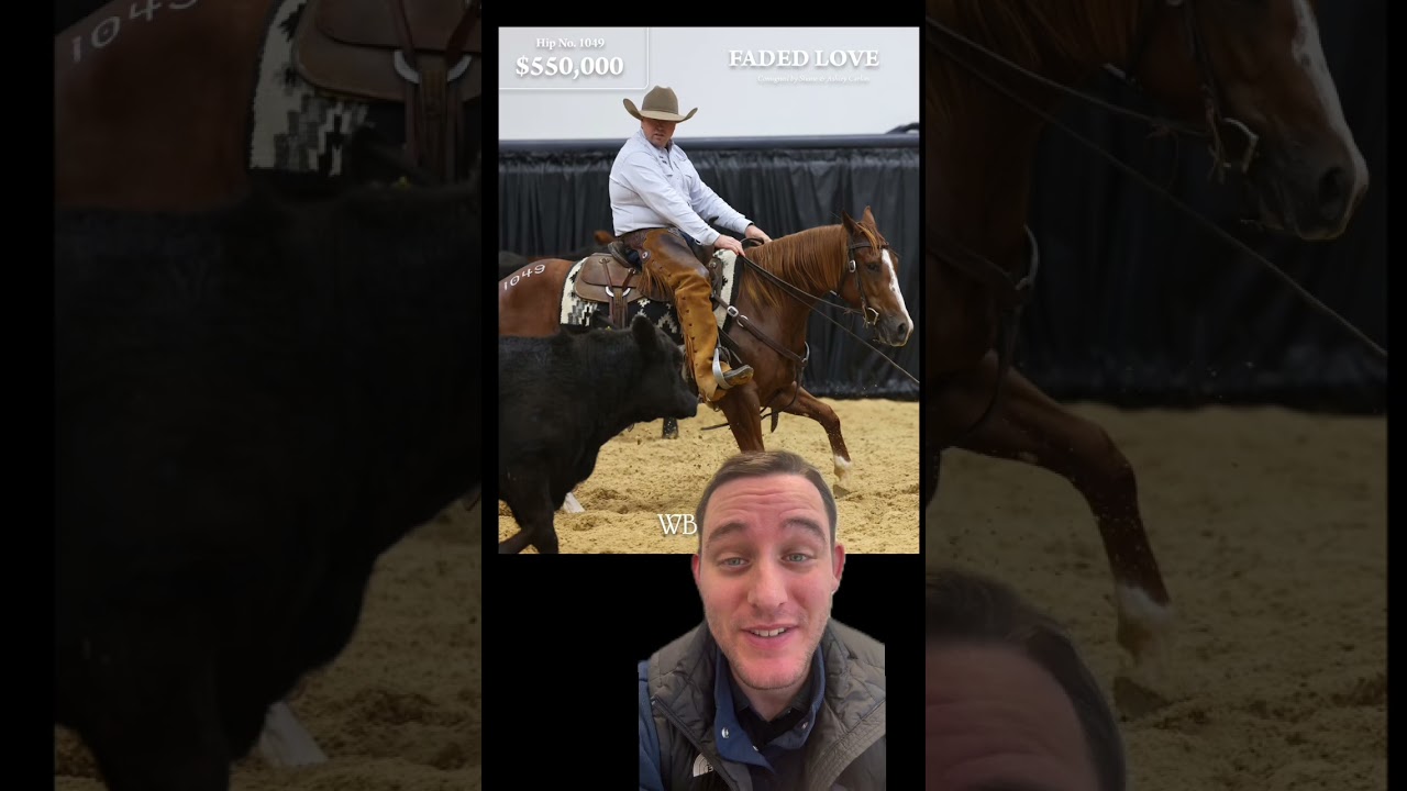 The NCHA Futurity Sales were booming in Fort Worth 