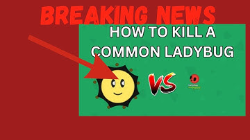 Breaking News: Florr.IO Community Now Knows How To Kill Common Ladybugs! @ooogaboooga8865