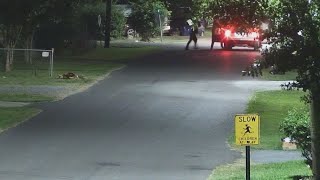 Abbeville shooting leaves 2 injured; over 40 rounds fired