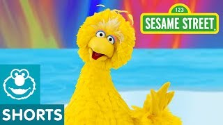 Sesame Street: Journey to Ernie: Penguins