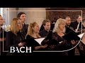 Bach - Motet Komm, Jesu, komm... BWV 229 - MacLeod | Netherlands Bach Society