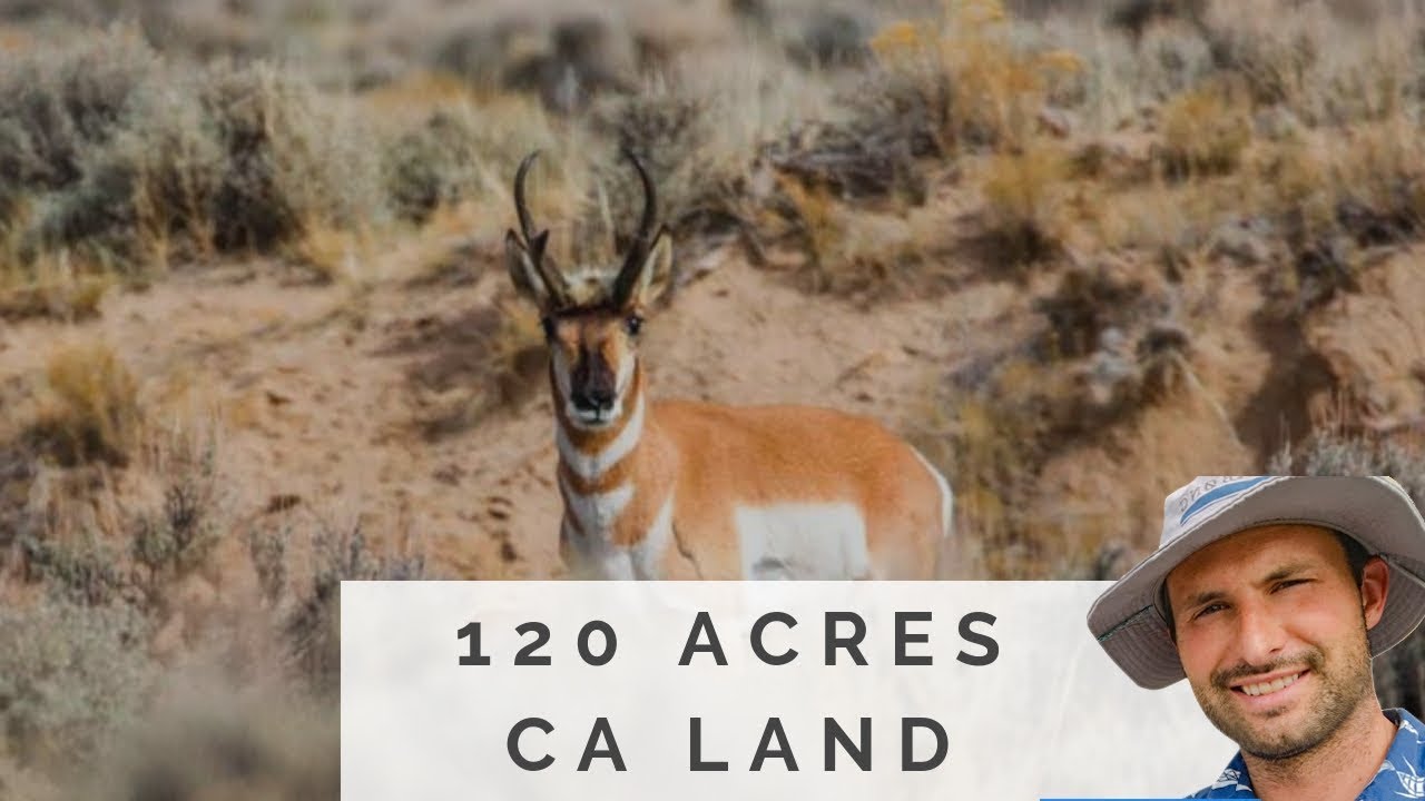 120 Acres of Freedom in Northern California CA YouTube