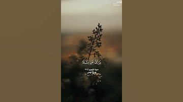 « الله لطيف بعباده » تلاوة من سورة الشورى || القارئ وديع اليمني