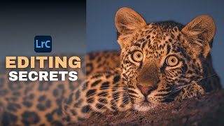 EXPOSING Lightroom Editing SECRETS For Wildlife Photography screenshot 5