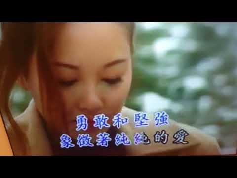 純純的愛
