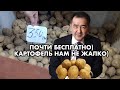 Дешевый КАРТОФЕЛЬ от САГИНТАЕВА