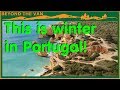 Winter SURFING in Portugal! - Van Life Diary PART 8