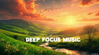 Soothing Lofi Instrumentals for Concentration & Study | Shadow’s Study Beats
