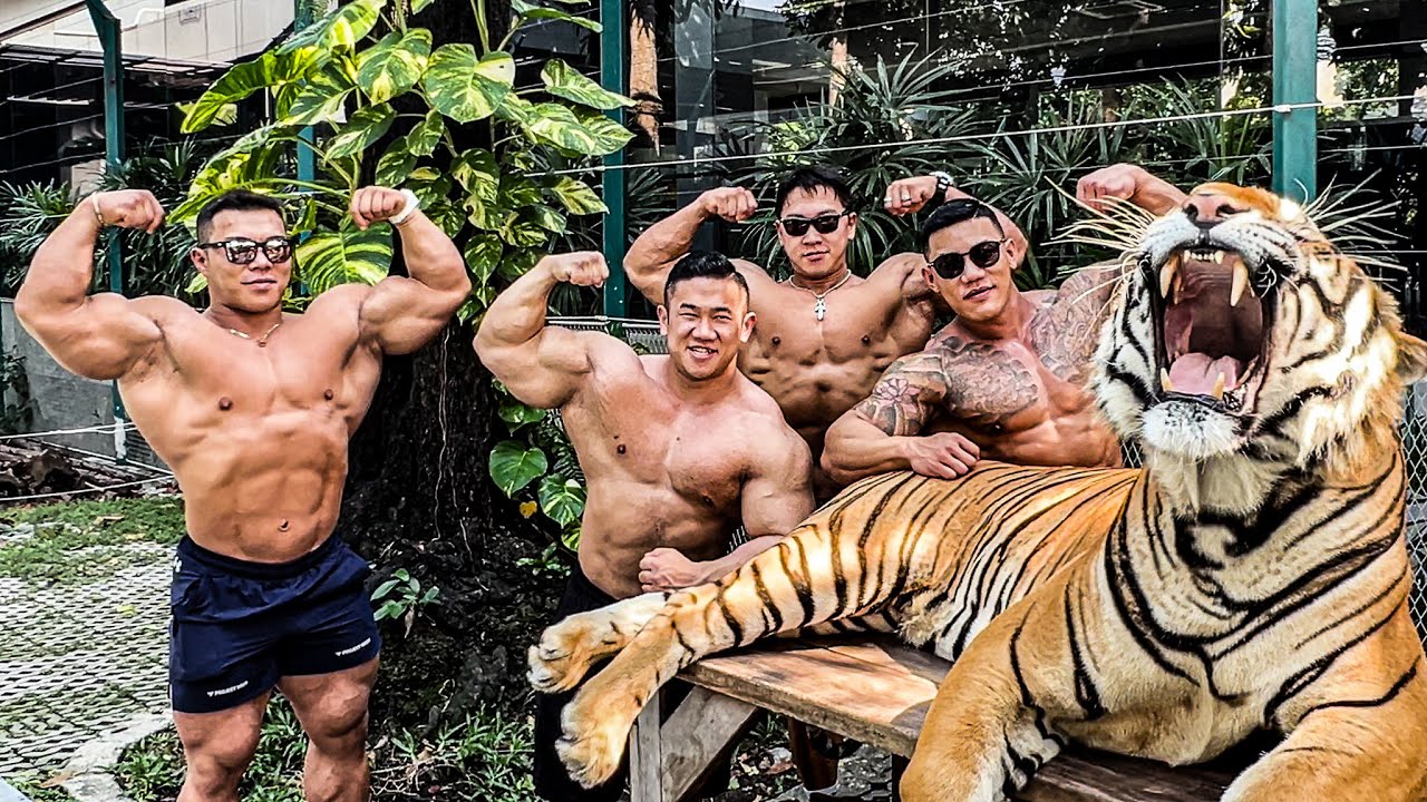 [lil-로그] 남자들이 빨리 죽는 이유 episode-68