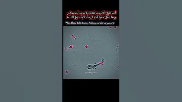 وحيد لكن لست وحدك جيش خلايا الدم البيضاء ي دافع عنك 24 ساعة حقائق مذهلة Shorts هل تعلم 