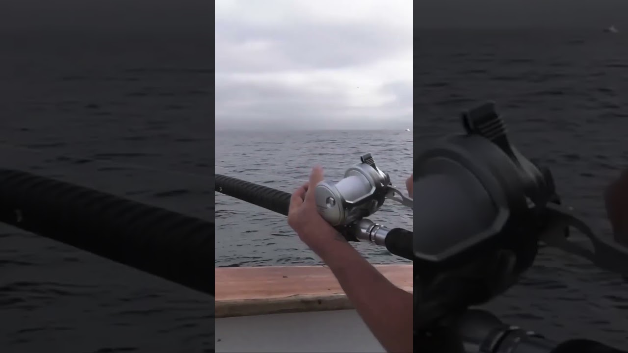 Getting Tight on the Kite - Part 2 