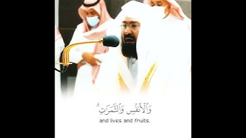 (وبشر الصابرين) آيات الصبر بصوت الشيخ عبدالرحمن السديس