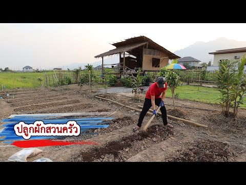 ขึ้นแปลงปลูกผักสวนครัว กระท่อมไม้ไผ่