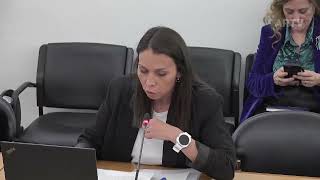 18-03-2026 | Audição do Ministro da Economia e da Coesão Territorial | Catarina Louro