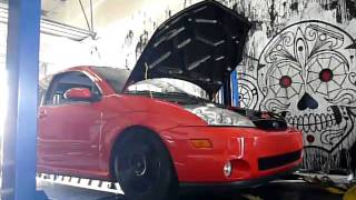 SVT Focus JRSC on the DYNO pt1