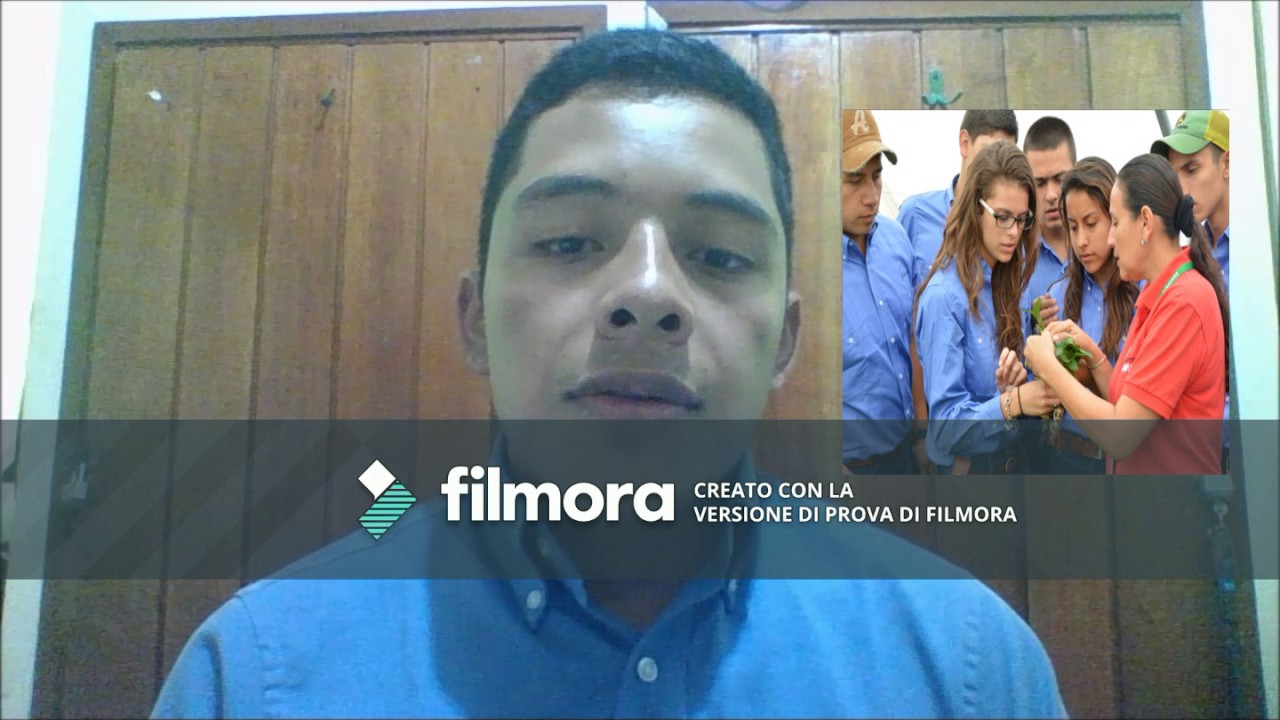 Does school prepare you for work 19236