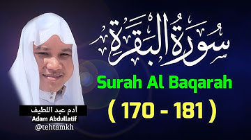 سورة البقرة 170 - 181 Suarh Al Baqarah