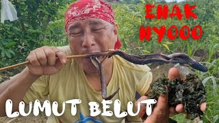 Mukbang Eel Moss Cooked Ala heru Gundul