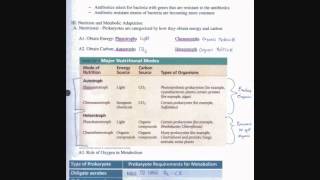 Famous Chapter 27 - Bacteria and Archaea Wealth